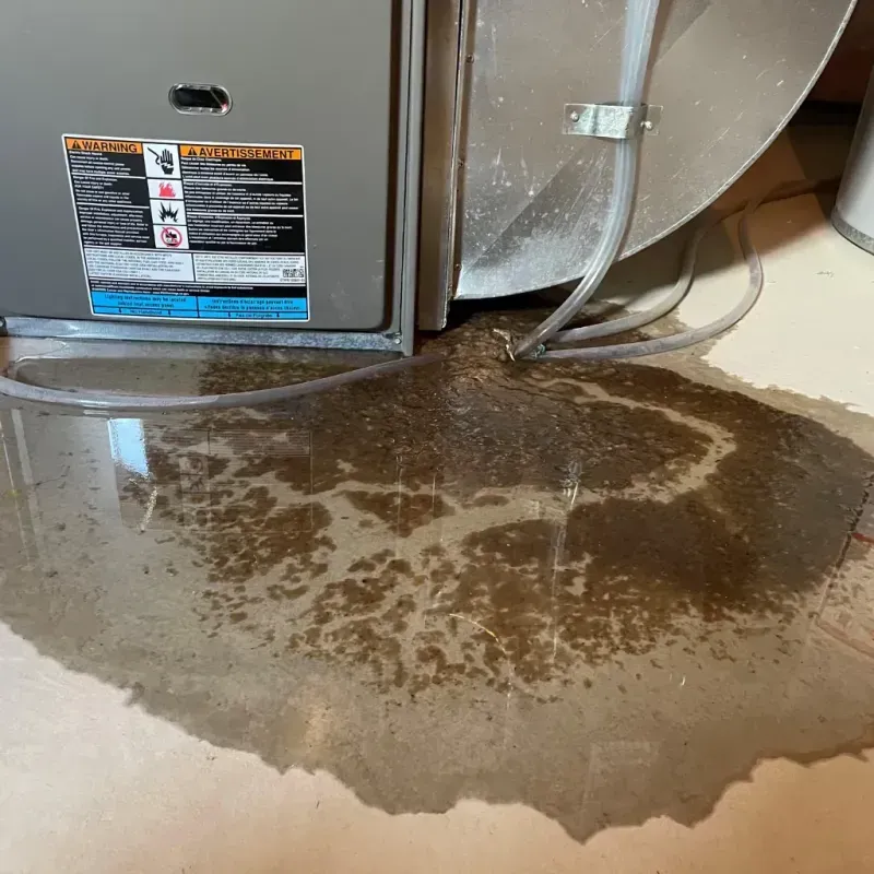 Appliance Leak Cleanup in Citrus Hills, FL